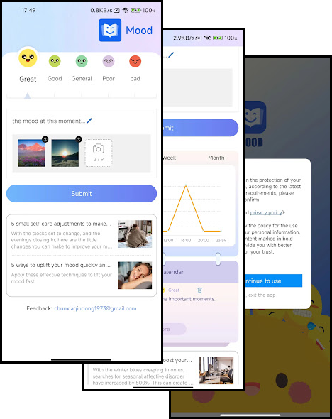 Mobile Application Interface